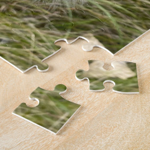 Milkweed Schmetterling Puzzle