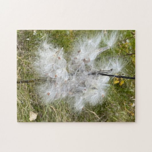 Milkweed | Schmetterling | Puzzle (Horizontal)