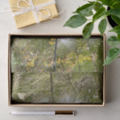 Milkweed | Schmetterling | Seidenpapier (Geschenk)