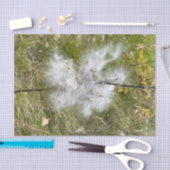 Milkweed | Schmetterling | Seidenpapier (Handwerk)