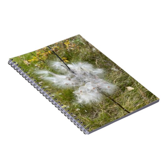 Milkweed | Schmetterling | Spirale Notizblock (Rechte Seite)