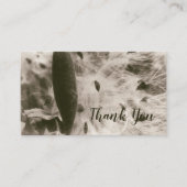 Milkweed Seeds Sepia Abstrakte Blütenpflanze Vinta Visitenkarte (Vorderseite)