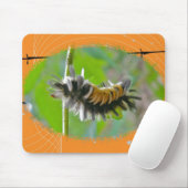 Milkweed Tussock Moth Raupe Orange Items Mousepad (Mit Mouse)
