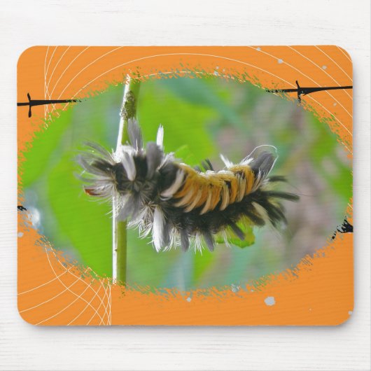 Milkweed Tussock Moth Raupe Orange Items Mousepad (Vorne)
