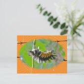 Milkweed Tussock Moth Raupe Orange Items Postkarte (Stehend Vorderseite)