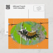 Milkweed Tussock Moth Raupe Orange Items Postkarte (Vorne/Hinten)