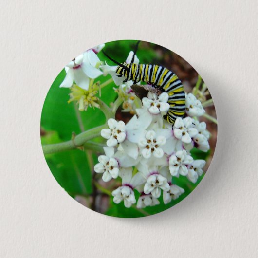 Milkweed und Monarch Button (Vorderseite)