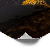 Milky Way Quiver Tree Keetmansho| Namibia Poster (Ecke)