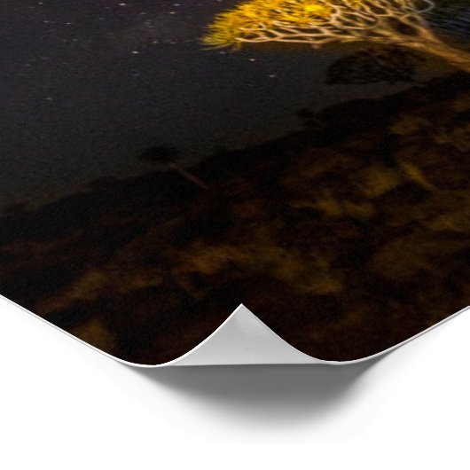 Milky Way Quiver Tree Keetmansho| Namibia Poster (Ecke)