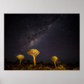 Milky Way Quiver Tree Keetmansho| Namibia Poster (Vorne)