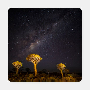 Milky Way Quiver Tree Keetmansho  Namibia Untersetzer Set