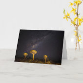 Milky Way Quiver Tree | Keetmanshoop Namibia Karte (Gelbe Blume)