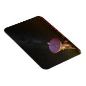 Milky-Way-Teleskop San Agustin Magnet (Rechte Seite)