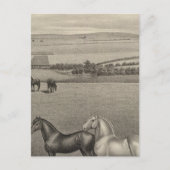 Mill Brae Ranch, Kansas Postkarte (Vorderseite)