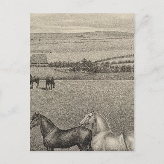 Mill Brae Ranch, Kansas Postkarte (Vorderseite)