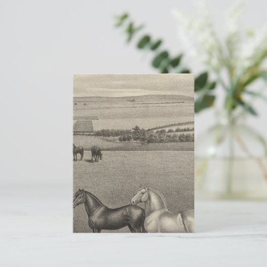 Mill Brae Ranch, Kansas Postkarte (Stehend Vorderseite)