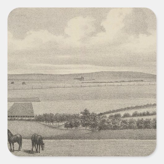 Mill Brae Ranch, Kansas Quadratischer Aufkleber (Vorderseite)