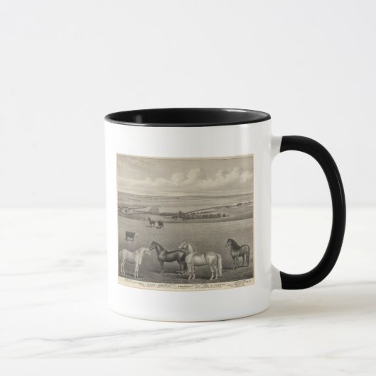 Mill Brae Ranch, Kansas Tasse (Rechts)