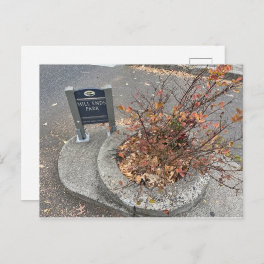 Mill Ends Park Postkarte (Vorne/Hinten)