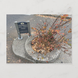 Mill Ends Park Postkarte