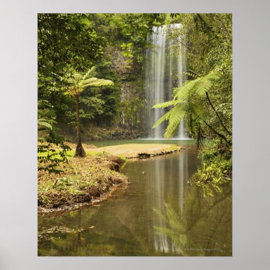 Millaa Millaa Falls, Atherton Tableland Poster (Vorne)