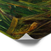 Millais Ophelia CC0008 Poster (Ecke)