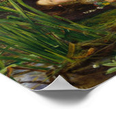 Millais - Ophelia Poster (Ecke)