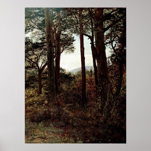 Millais - Scotch Firs 1873 Poster (Vorne)