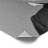 Millard Fillmore 13 Poster (Ecke)