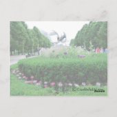 Millenium Park Bandshell Postkarte (Rückseite)