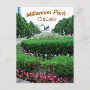 Millenium Park Bandshell Postkarte