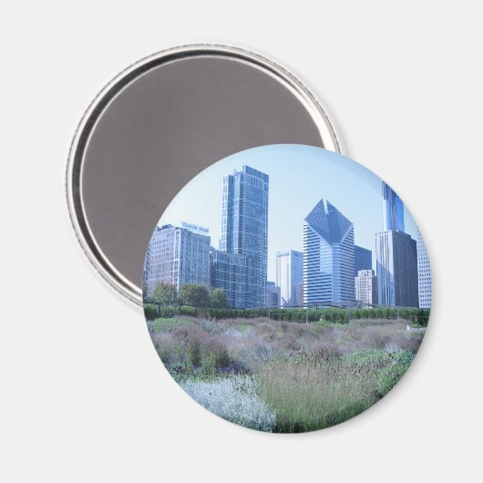 Millenium Park Magnet (Vorderseite/Rückseite)