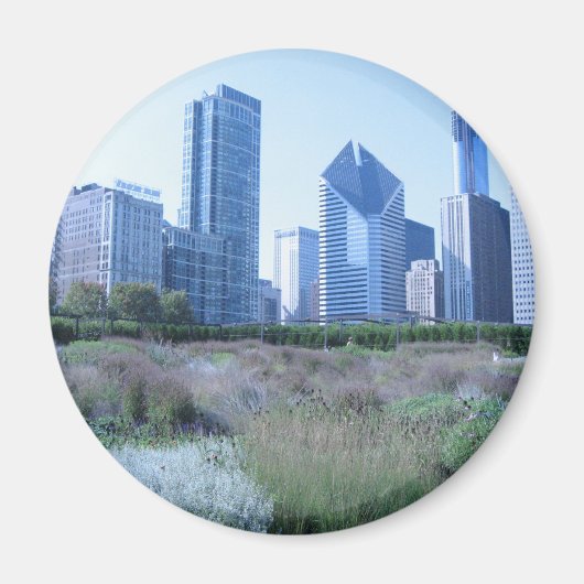 Millenium Park Magnet (Vorne)