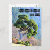 Millennium Juniper in Gapyeong Korea Postkarte (Vorne/Hinten)