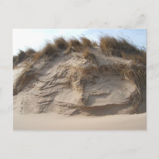 Miller Beach in Gary, Indiana Postkarte (Vorderseite)