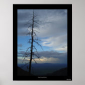 Miller Canyon Solitude Poster (Vorne)