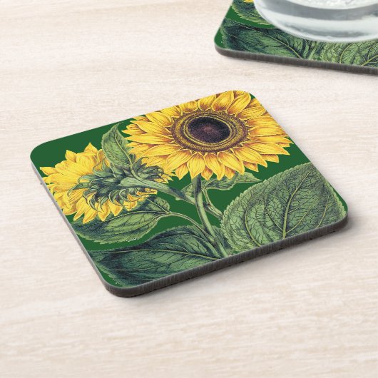 Miller: Sonnenblume Getränkeuntersetzer (Linke Seite)
