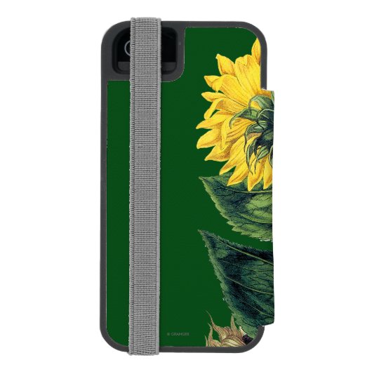Miller: Sonnenblume Incipio iPhone Geldbeutel-Hülle (Folio Rückseite)