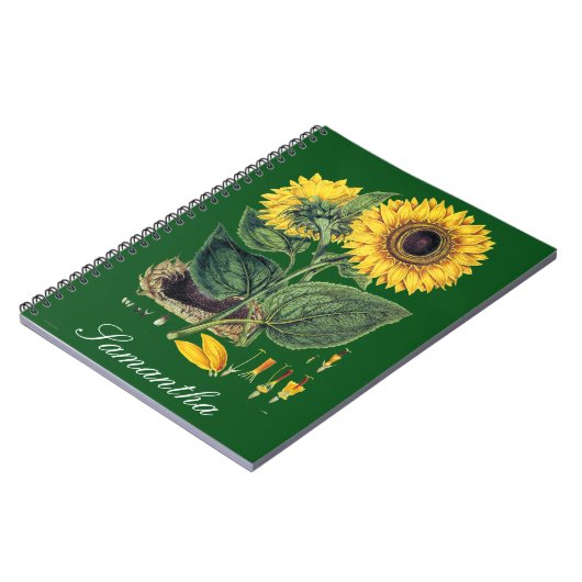 Miller: Sonnenblume Notizblock (Linke Seite)