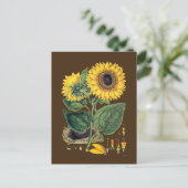 Miller: Sonnenblume Postkarte (Stehend Vorderseite)