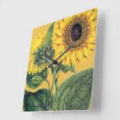 Miller: Sonnenblume Quadratische Wanduhr (Winkel)