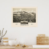 Millerton mit Irondale, NY Panorama Karte - 1887 Poster (Küche)
