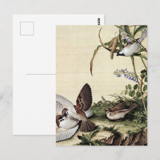 Millet Blume und Sojabohnen Postkarte (Vorne/Hinten)