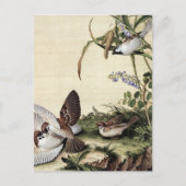 Millet Blume und Sojabohnen Postkarte (Vorderseite)