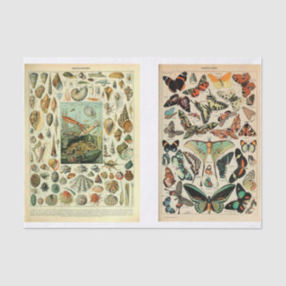 Millet Pages Seidenpapier