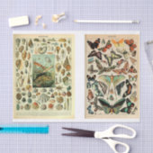 Millet Pages Seidenpapier (Handwerk)