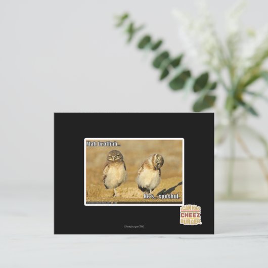 Milliamperestunde brothah postkarte (Stehend Vorderseite)