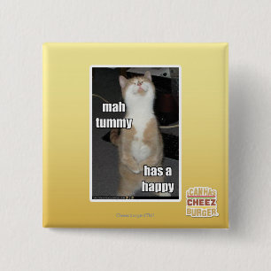 Milliamperestunden-Bauch hat ein glückliches Button