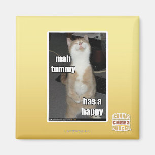 Milliamperestunden-Bauch hat ein glückliches Magnet