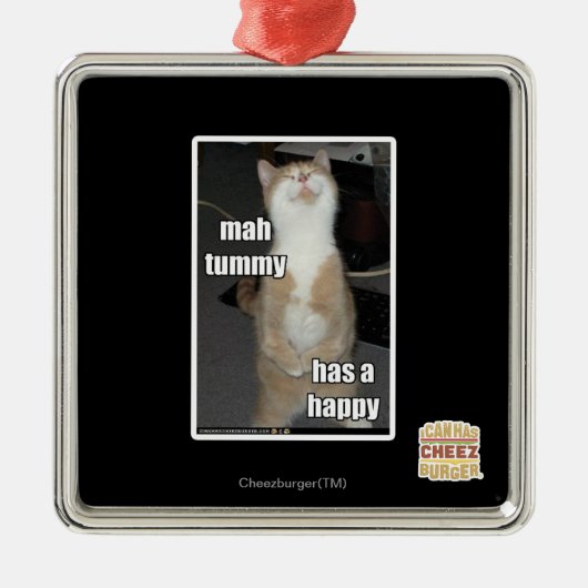 Milliamperestunden-Bauch hat ein glückliches Ornament Aus Metall (Vorne)